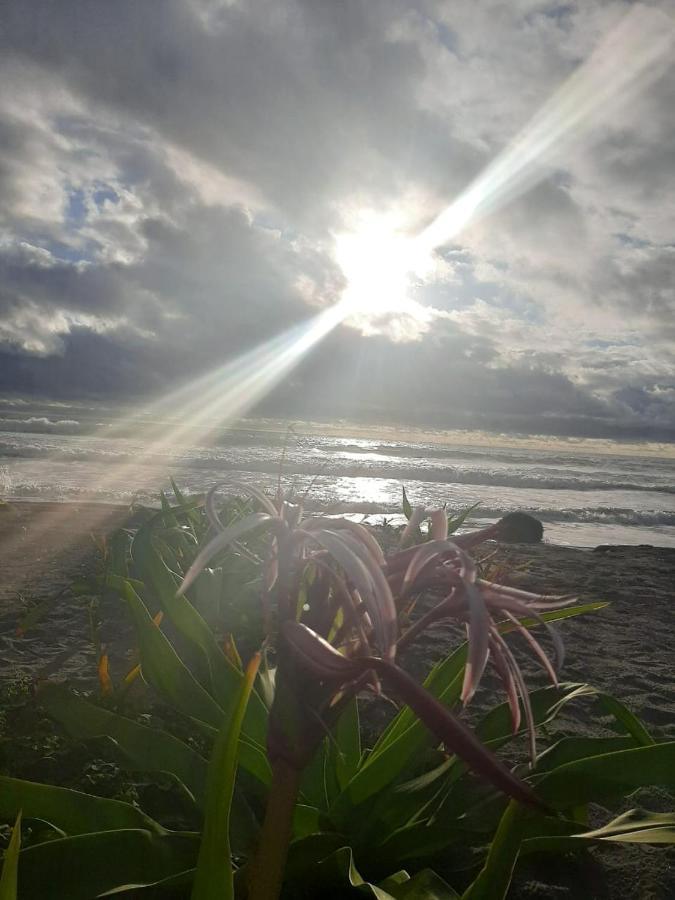 Seaside Garden Ecolodge Mompiche Exterior foto