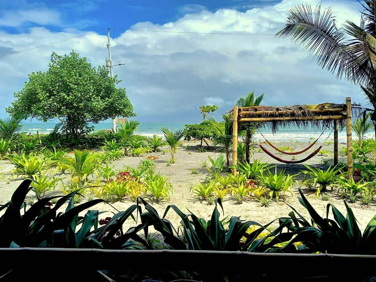 Seaside Garden Ecolodge Mompiche Exterior foto