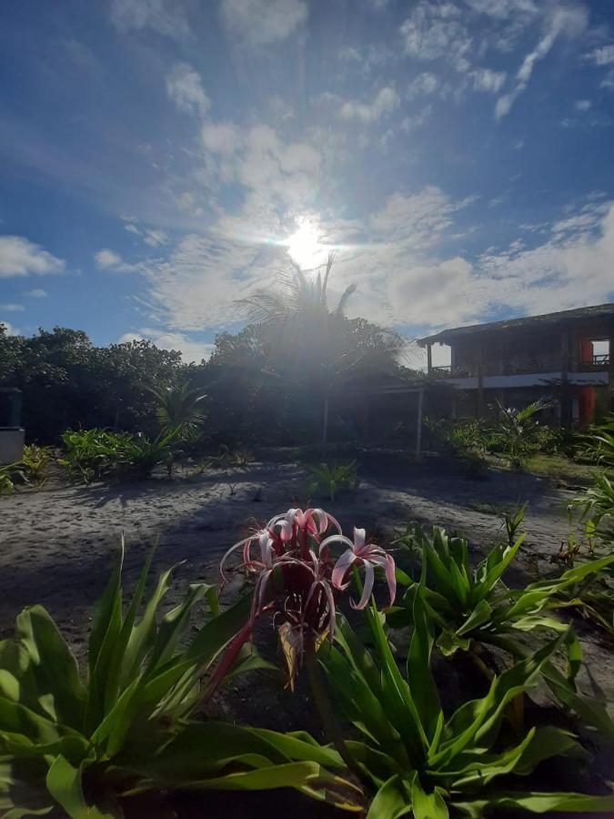 Seaside Garden Ecolodge Mompiche Exterior foto